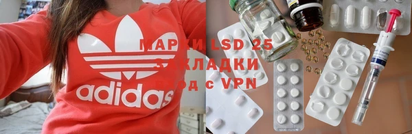 крисы Касимов