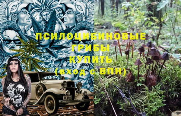 таблы Фёдоровский
