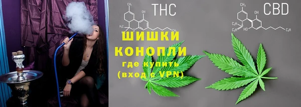 спайс Карпинск