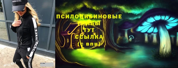 крисы Касимов