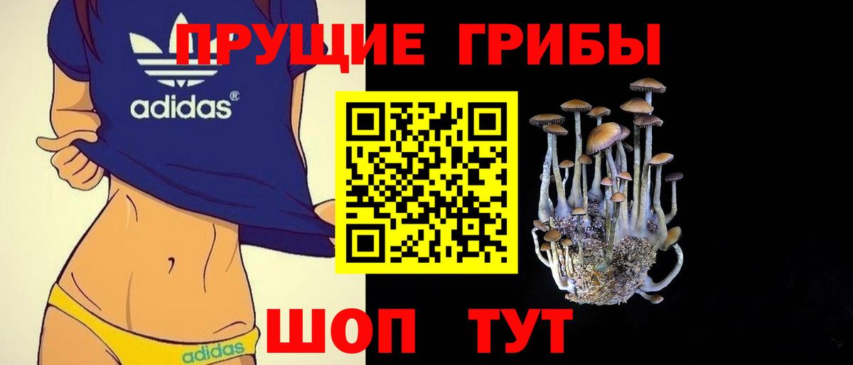 Галлюциногенные грибы прущие грибы  Вход с VPN  Партизанск 