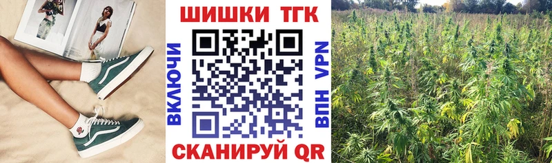Бошки Шишки планчик  ОМГ ОМГ сайт  Партизанск 